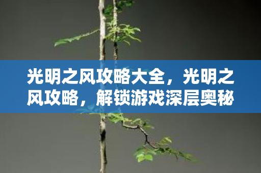 光明之风攻略大全图片