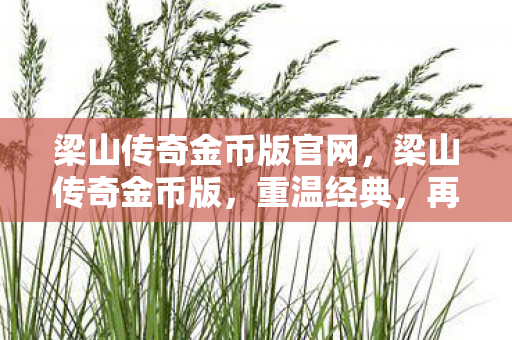 梁山传奇金币版官网，梁山传奇金币版，重温经典，再续传奇