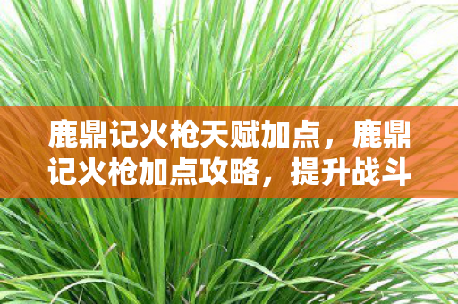 鹿鼎记火枪天赋加点，鹿鼎记火枪加点攻略，提升战斗力的关键所在