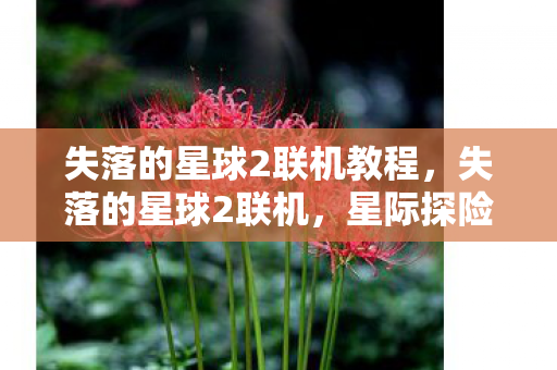 失落的星球2联机教程，失落的星球2联机，星际探险的终极体验