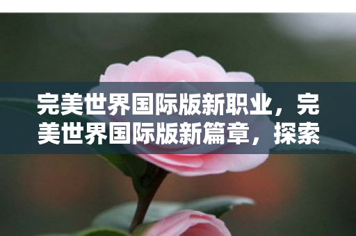 完美世界国际版新职业，完美世界国际版新篇章，探索未知，重塑经典