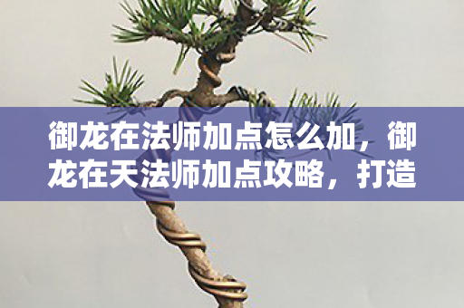 御龙在法师加点怎么加图片
