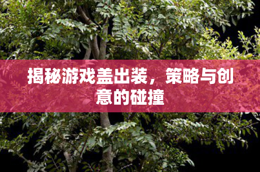 策略与创意的碰撞图片