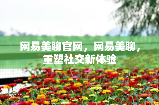 重塑社交新体验图片