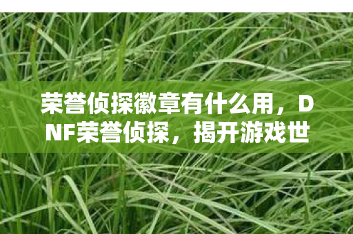 揭开游戏世界的神秘面纱图片