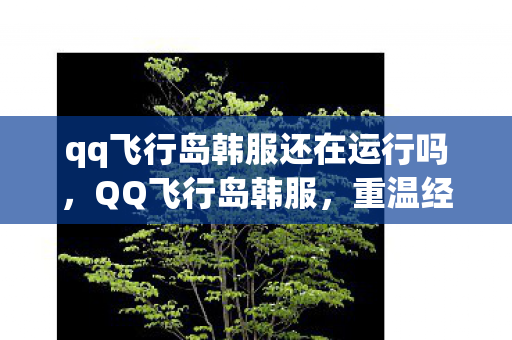 qq飞行岛韩服还在运行吗图片