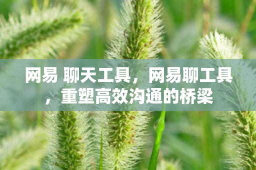 重塑高效沟通的桥梁图片