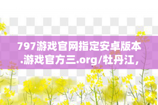 797游戏官网指定安卓版本图片