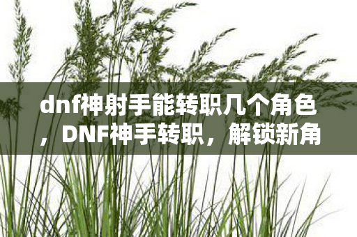 dnf神射手能转职几个角色图片
