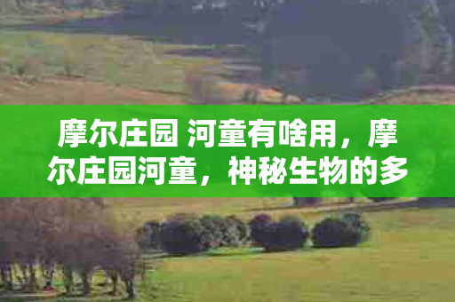 摩尔庄园 河童有啥用图片