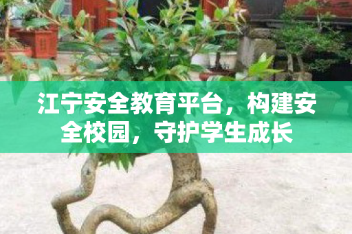 江宁安全教育平台图片