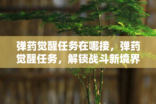 弹药觉醒任务在哪接图片