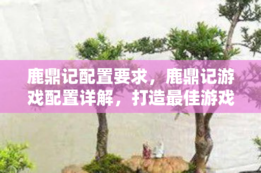鹿鼎记配置要求，鹿鼎记游戏配置详解，打造最佳游戏体验