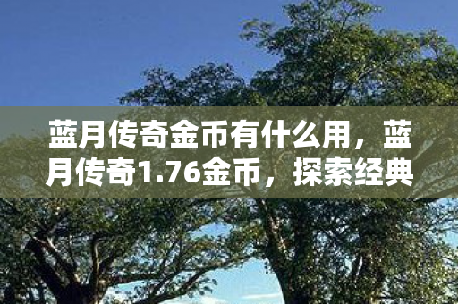 探索经典传奇的无限可能图片