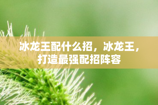 打造最强配招阵容图片