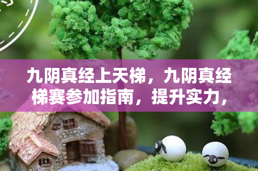 九阴真经梯赛参加指南图片