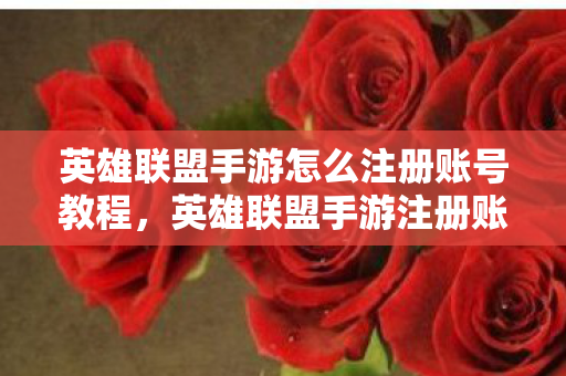 英雄联盟手游怎么注册账号教程图片