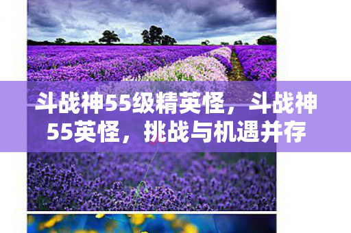 斗战神55级精英怪图片