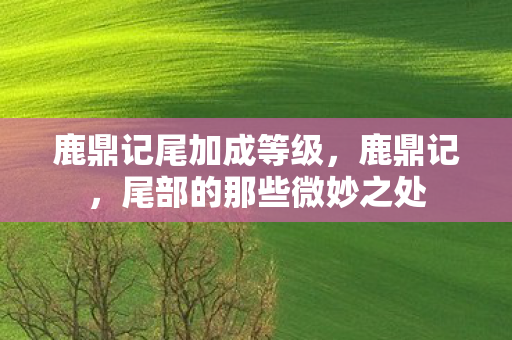 鹿鼎记尾加成等级，鹿鼎记，尾部的那些微妙之处