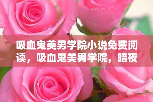 吸血鬼美男学院小说免费阅读图片