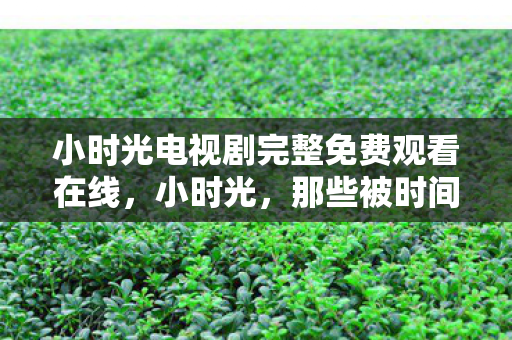 小时光电视剧完整免费观看在线图片