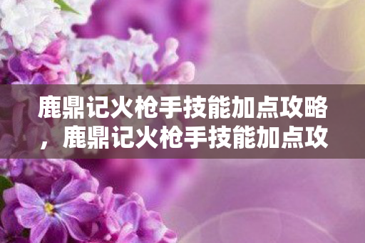 鹿鼎记火枪手技能加点攻略，鹿鼎记火枪手技能加点攻略