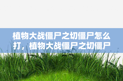 植物大战僵尸之切僵尸怎么打图片