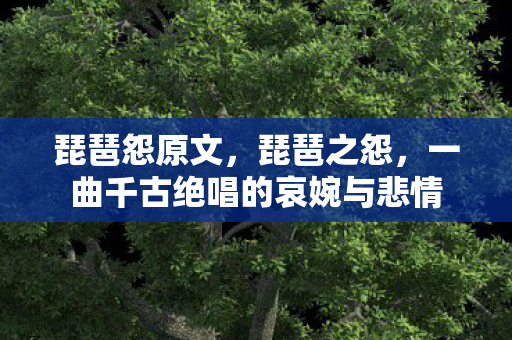 一曲千古绝唱的哀婉与悲情图片