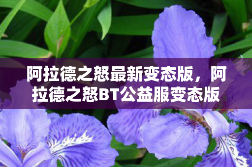 阿拉德之怒BT公益服变态版图片