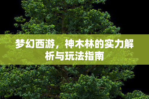 神木林的实力解析与玩法指南图片