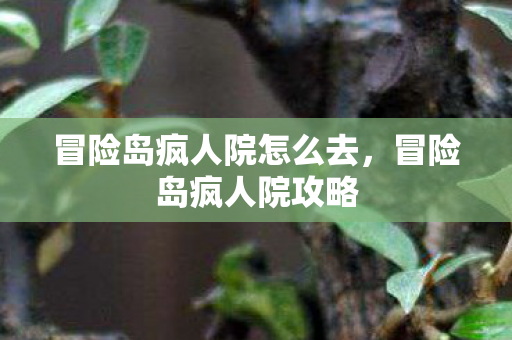 冒险岛疯人院怎么去图片