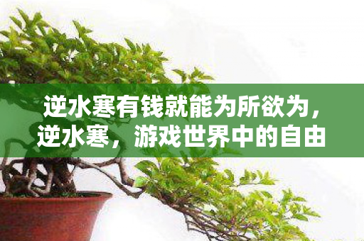 逆水寒有钱就能为所欲为图片