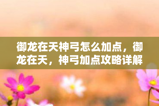 御龙在天神弓怎么加点图片