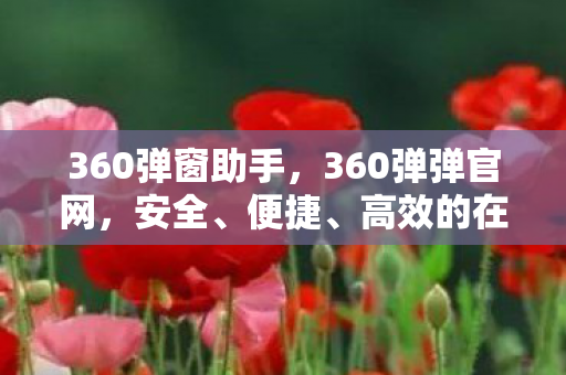 360弹窗助手图片