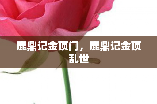 鹿鼎记金顶门，鹿鼎记金顶乱世