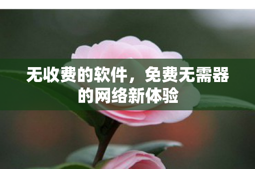 免费无需器的网络新体验图片