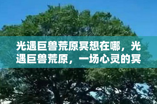 光遇巨兽荒原冥想在哪图片