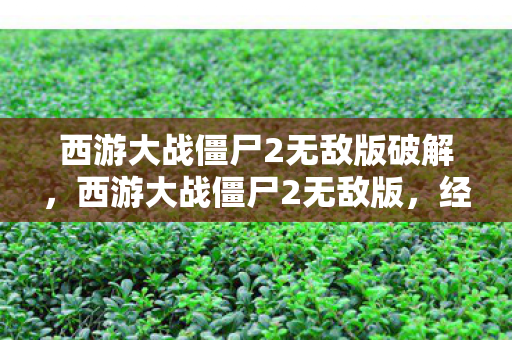 西游大战僵尸2无敌版破解图片