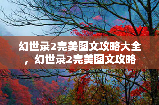 幻世录2完美图文攻略大全图片