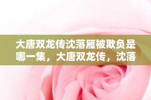 大唐双龙传沈落雁被欺负是哪一集图片