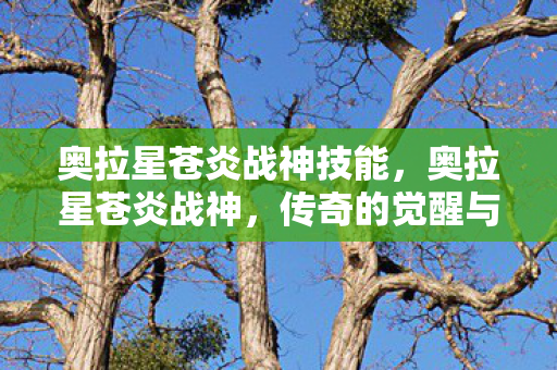 传奇的觉醒与荣耀的征程图片