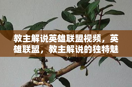 教主解说英雄联盟视频图片