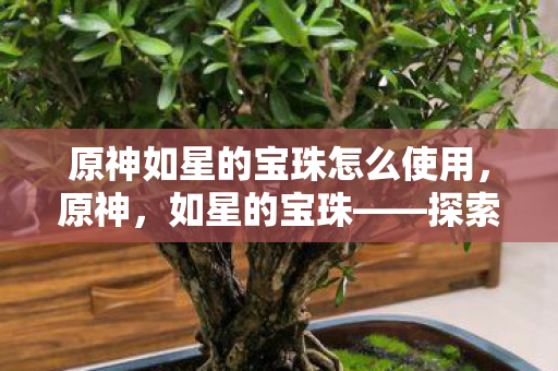 探索提瓦特大陆的神秘宝藏图片