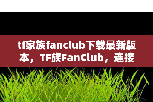 tf家族fanclub下载最新版本图片