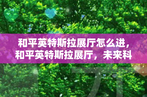 和平英特斯拉展厅怎么进图片