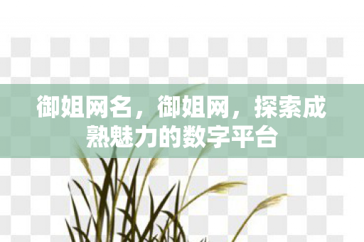 探索成熟魅力的数字平台图片