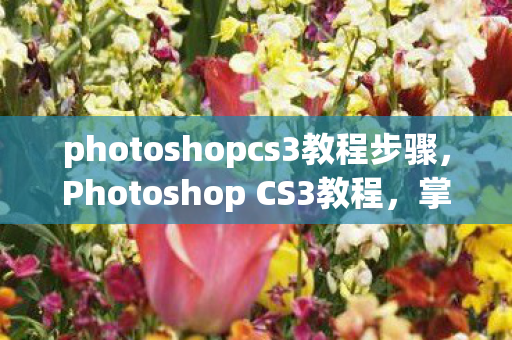 photoshopcs3教程步骤图片