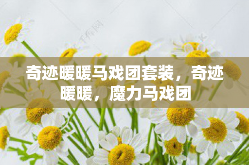 奇迹暖暖马戏团套装图片