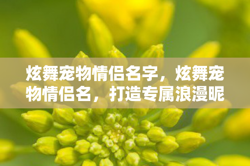 炫舞宠物情侣名字图片