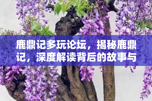 鹿鼎记多玩论坛，揭秘鹿鼎记，深度解读背后的故事与魅力所在